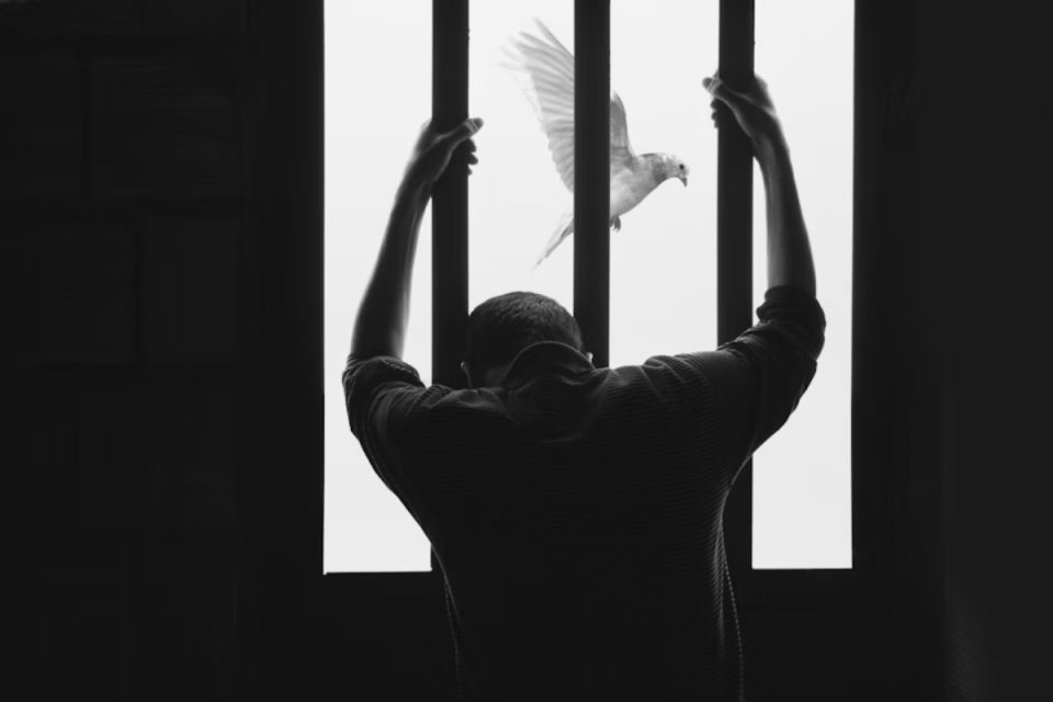 Habeas corpus: veja como funciona esse instrumento da legislação brasileira