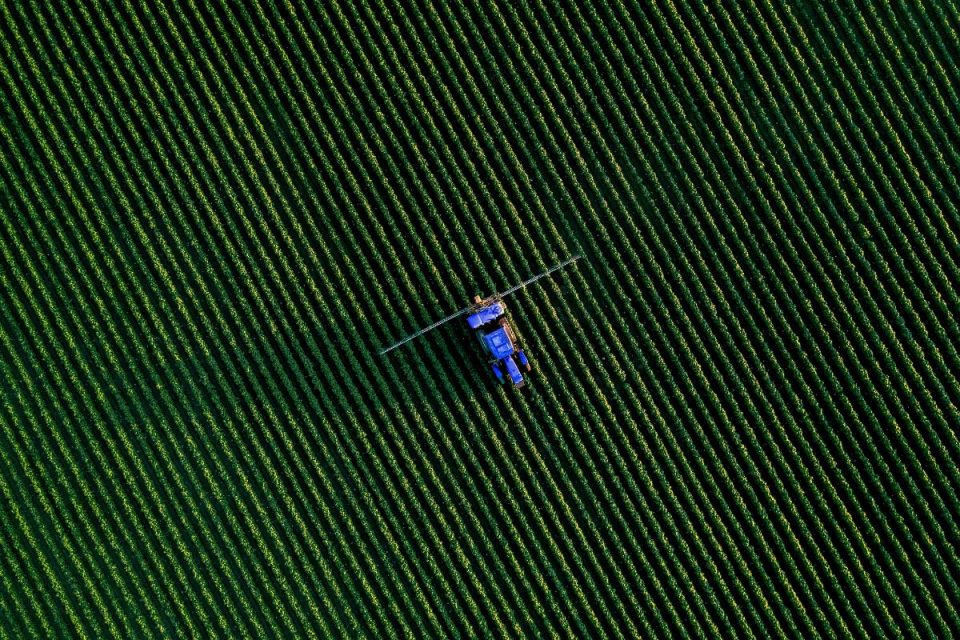 Especialistas explicam por que o agronegócio pode colocar o Brasil na corrida global da IA