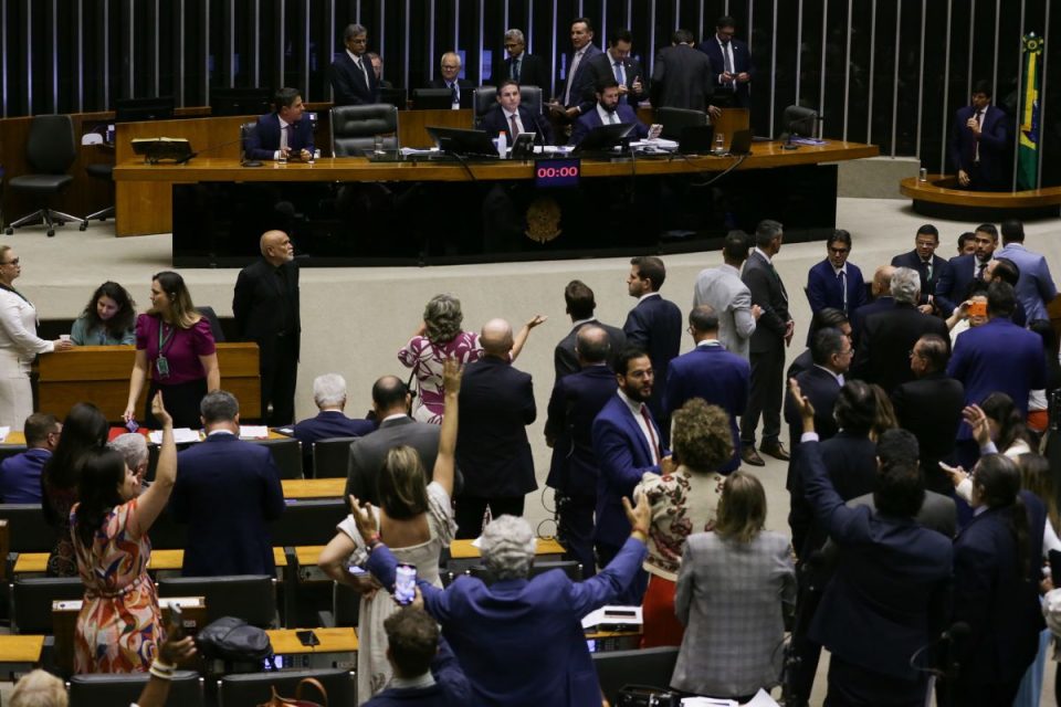 Quais são as funções de um deputado federal?