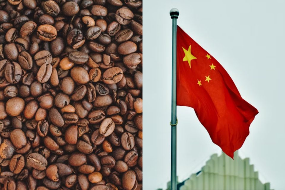 China autoriza quase 200 exportadores brasileiros de café em meio a tarifas dos EUA