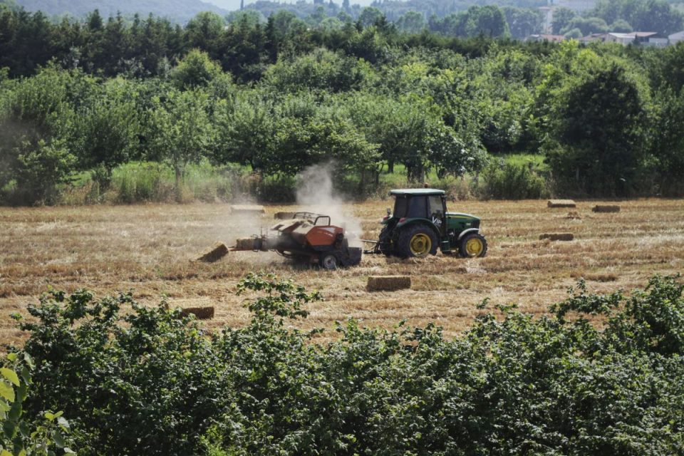 Produtividade no Brasil tem avanço “tímido” entre 2019 e 2025