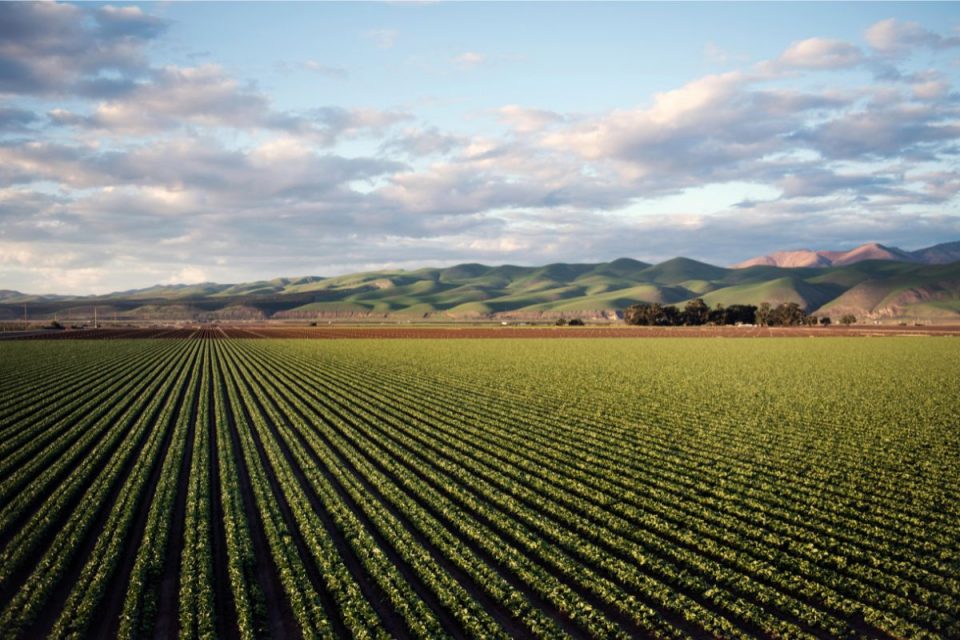 Brasil e China ampliam cooperação agrícola em novo programa ambiental