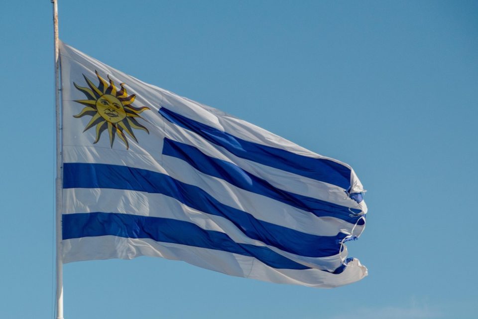 Uruguai se une a países que legalizaram a eutanásia; no Brasil, prática continua proibida