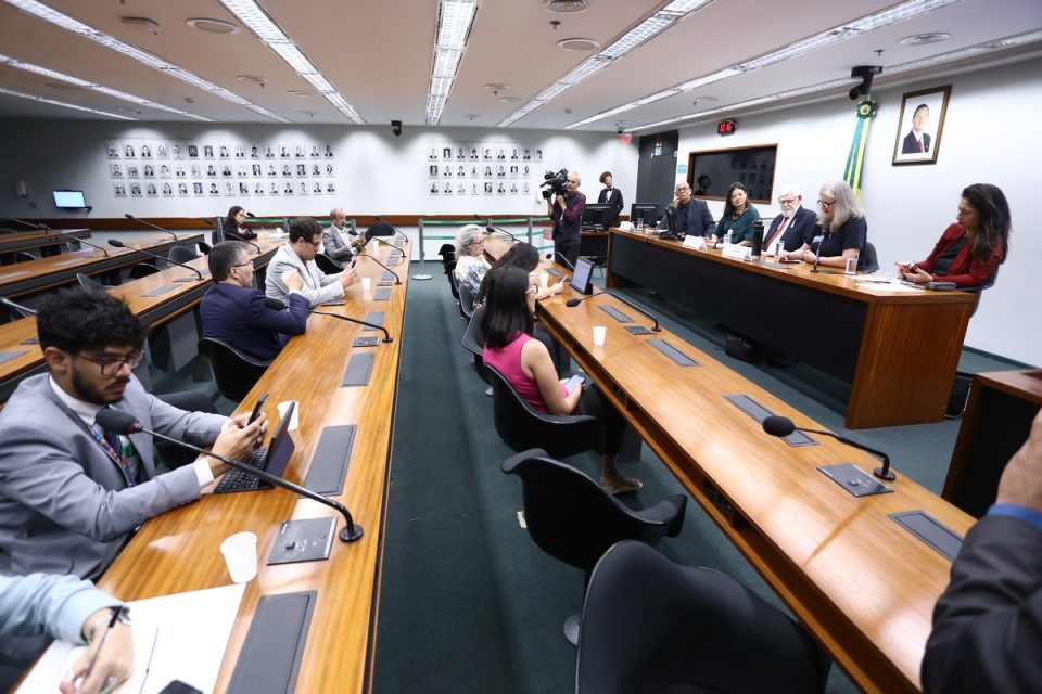 Comissão da Câmara analisa proposta de fundo para ações de reparação e combate ao racismo
