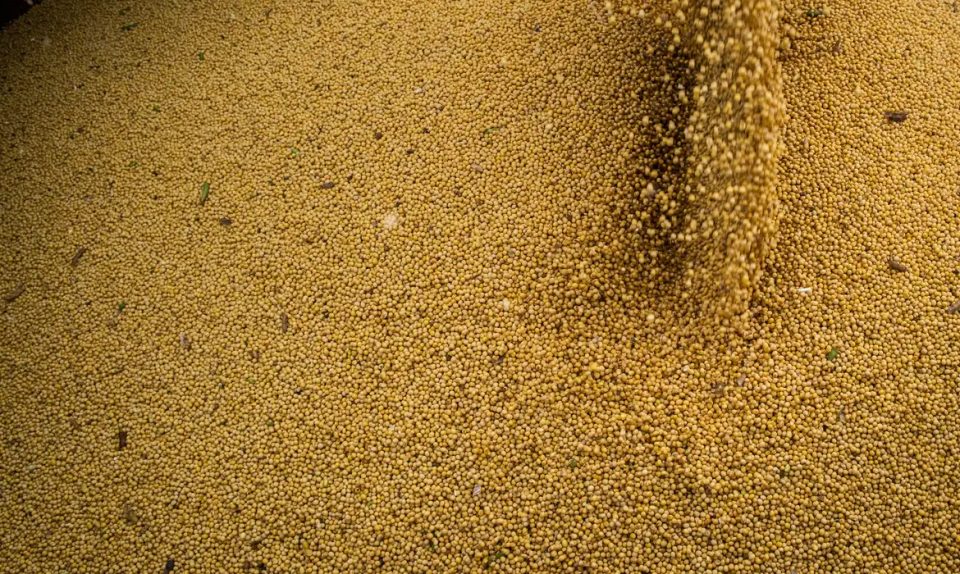 As prioridades do agro na próxima legislatura