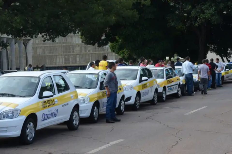 CNH sem autoescola? Veja como opinar sobre o projeto para o governo