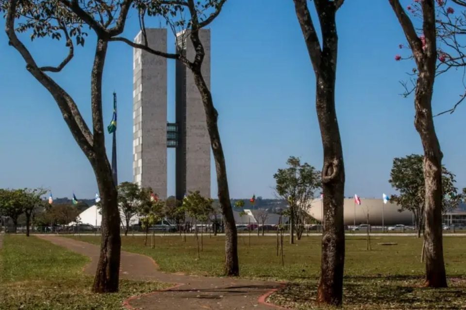 Em fevereiro, parlamentares retornam do recesso com prazo apertado para votar MP do Gás do Povo e outras