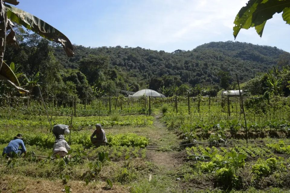 Comissão Mista para analisar MP do crédito rural é instalada
