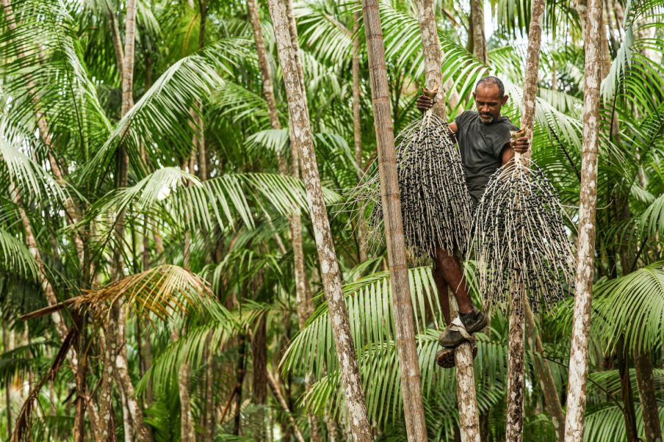 Subutilização de 13,8% da mão de obra afeta produtividade e renda